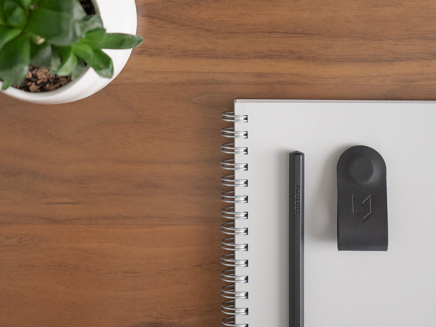 Back To School With Artifox