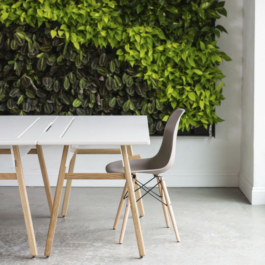 ARTIFOX Desk - White Oak + Bone